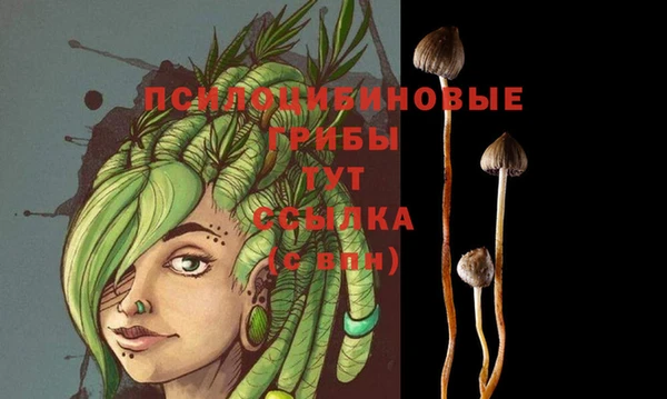 молекула духа Баксан