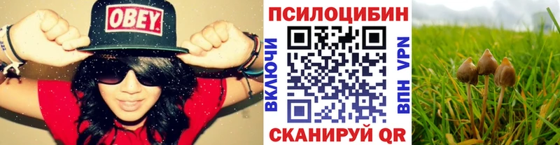 hydra   Торопец  Псилоцибиновые грибы Magic Shrooms  купить наркотик 