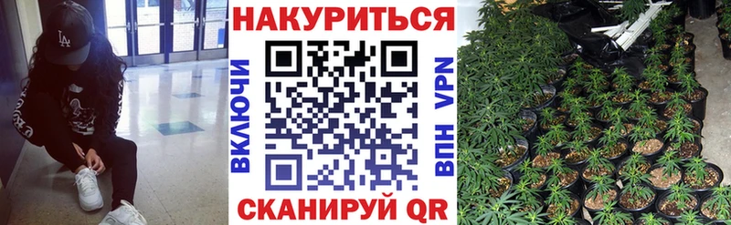 Канабис MAZAR  цены   Торопец 